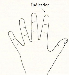 dedos indicador leitura mãos