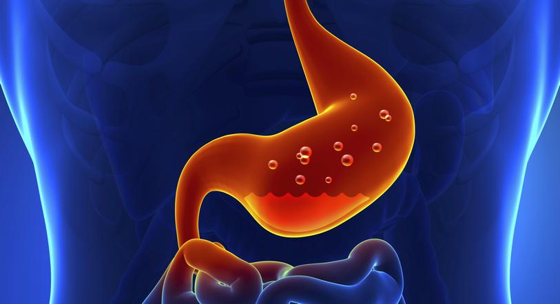 O estômago é um órgão de suma importância para o ciclo digestivo. Ele é formado por diversos tipos de células com distintas funcionalidades, sendo uma delas, a fabricação de enzimas facilitadoras da digestão. Geralmente, há também a produção de um muco que reveste a parede interna do estômago, protegendo as células do ácido gástrico.