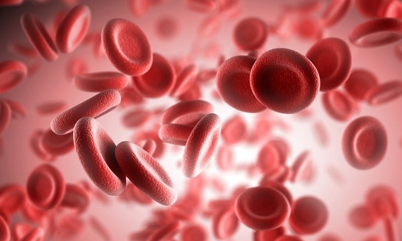 A anemia é uma condição do corpo humano, caracterizada por uma concentração reduzida de hemoglobina em uma unidade de volume sanguíneo