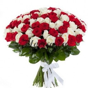 rosas brancas vermelhas