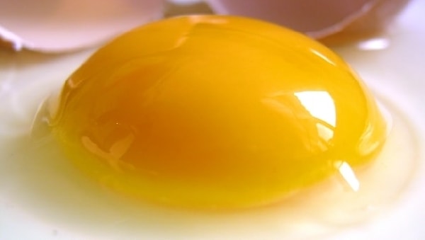Vitamina B4  colina dieta ovos cérebro