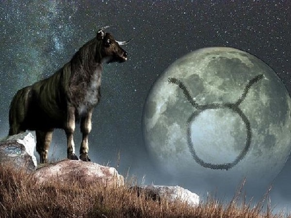 influência da lua  horóscopo  crianças astrologia touro