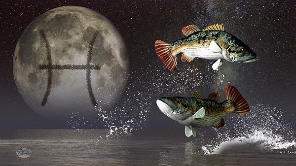 influência da lua  horóscopo  crianças astrologia peixes