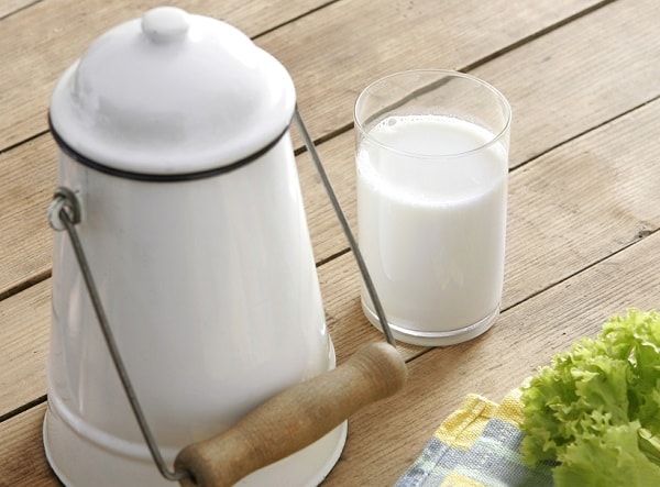 leite de cabra saúde dieta alimentação criança diabetes insonia perda de peso
