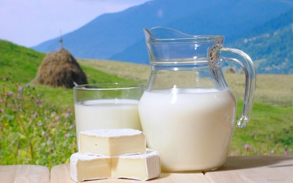 leite de vaca saúde dieta alimentação perda de peso crianças nutrição
